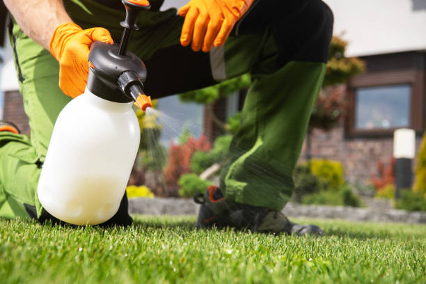 Best Pest Control Near Me  in Shandon, CA