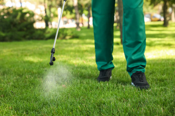 Best Best Pest Control Near Me  in Shandon, CA