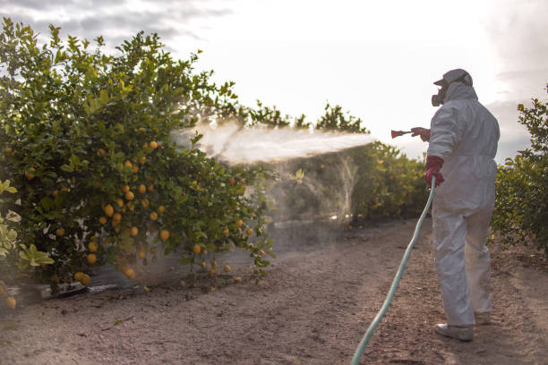 Shandon, CA Pest Control Company