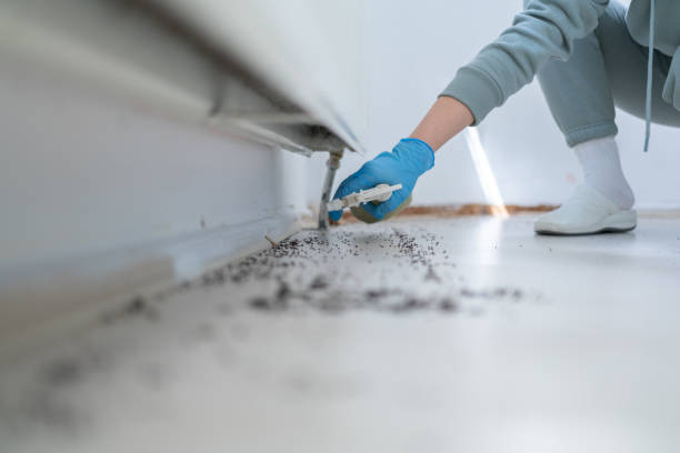 Best Pest Control Near Me  in Shandon, CA