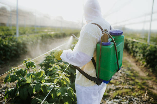 Best Residential Pest Control  in Shandon, CA